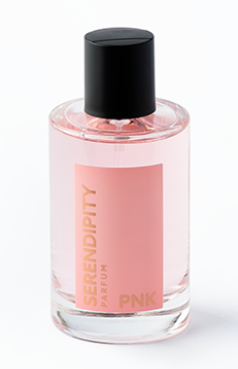 PNK - Inspired by Attrape-Rêves